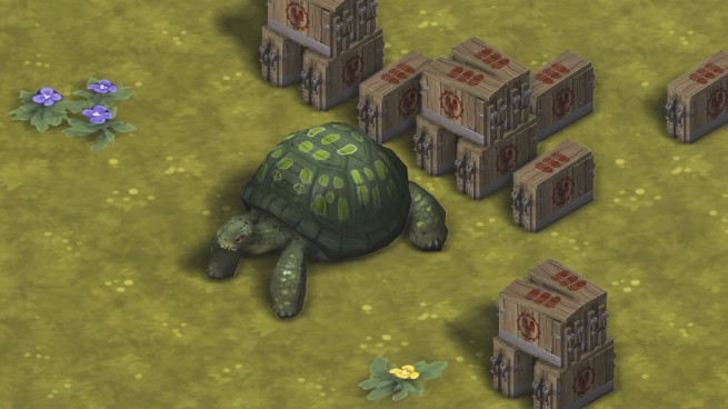 Tortoise Ammo 1