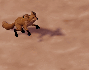 desert_fox